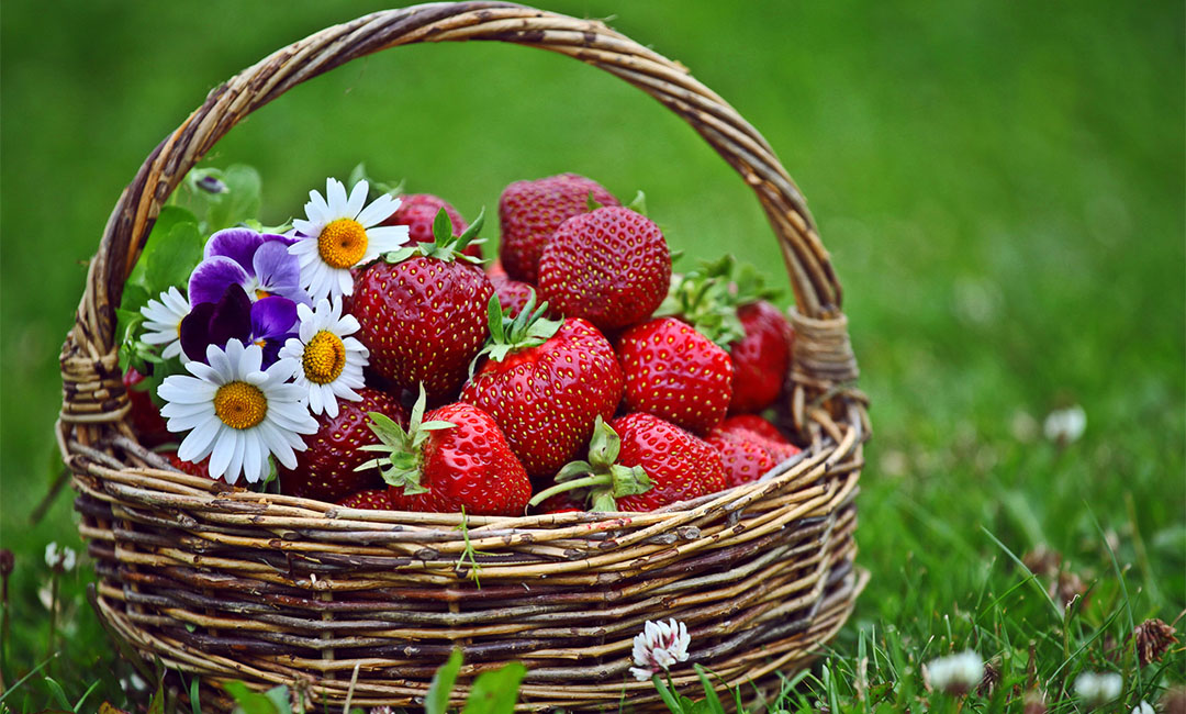 黑龙江点呀点水果电商APP开发案例